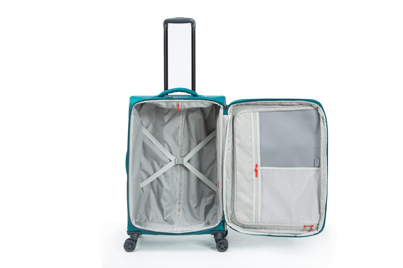 5L5B0488-1536x1024